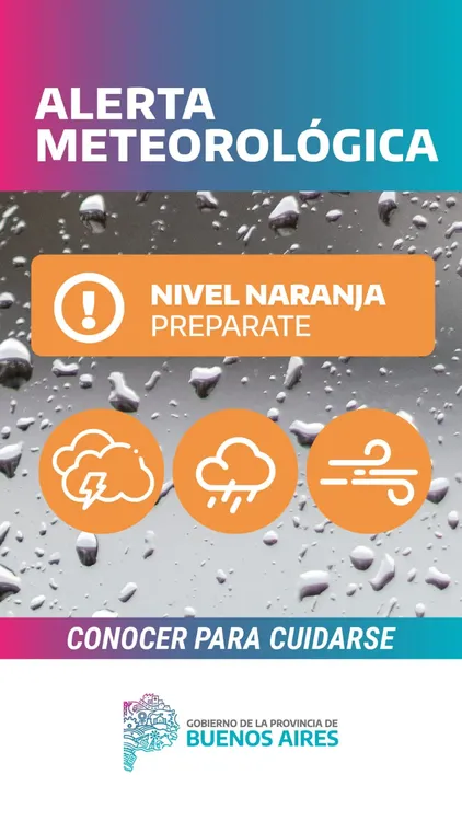 WhatsApp Image 2024-03-19 at 18.44.48