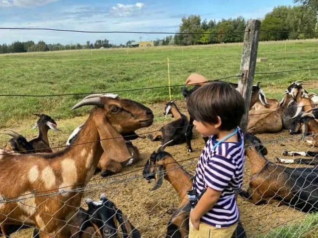 Foto Página 11