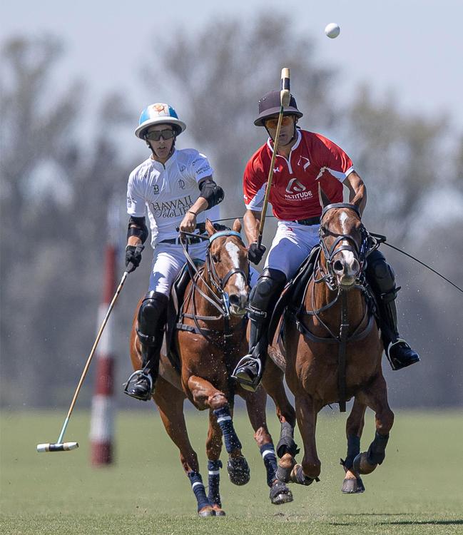 polo hurlingham LA DOLFINA BRAVA poroto cambiaso