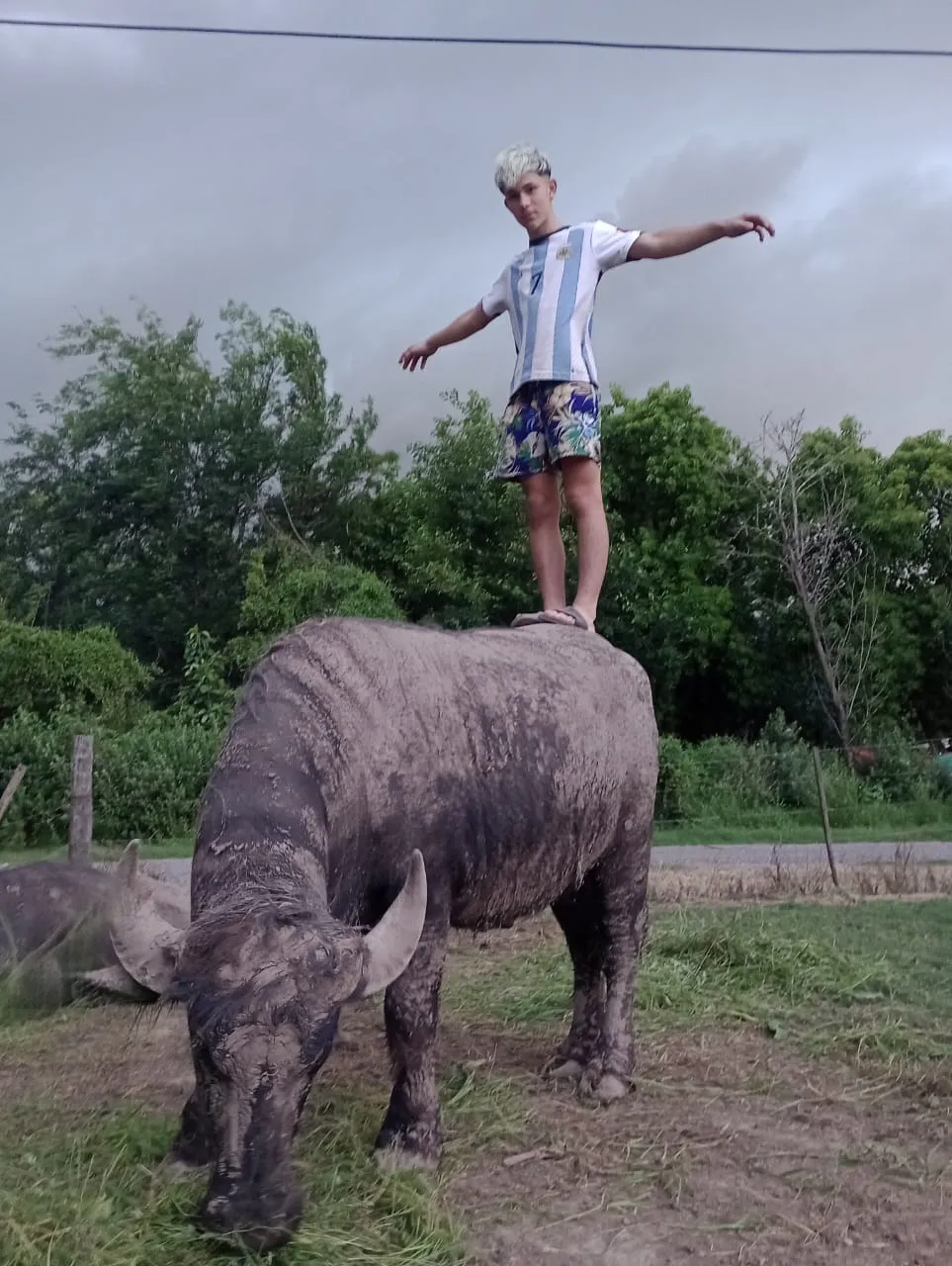 Foto Suple Campo Página 7