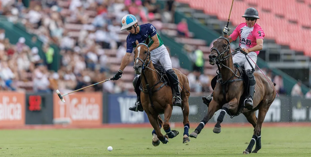 Foto Página 17 Polo