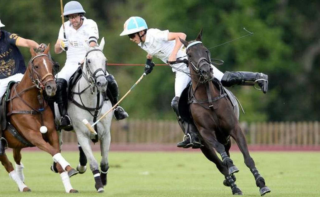 Polo WEB