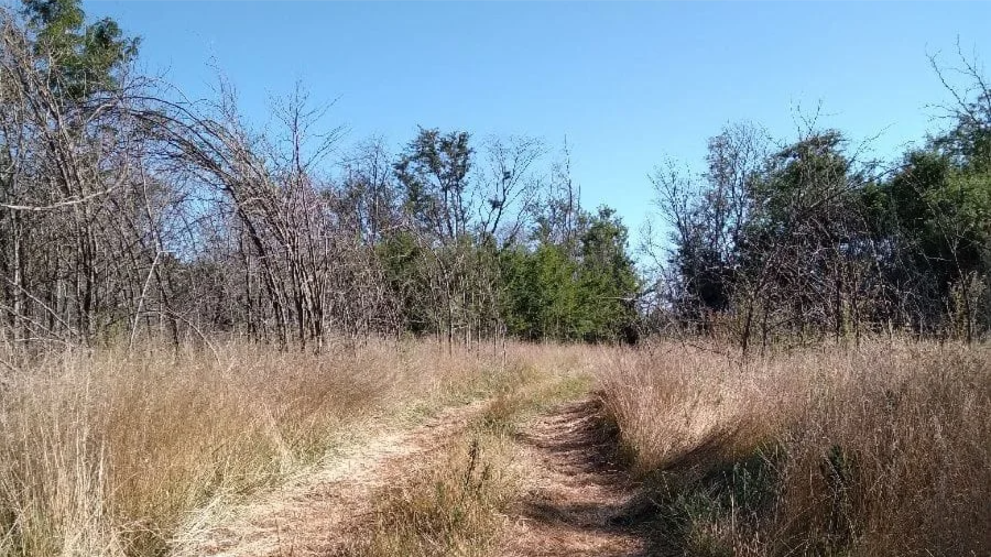 ba3