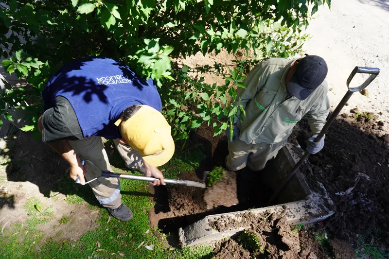 Foto Página 7 a la izquierda