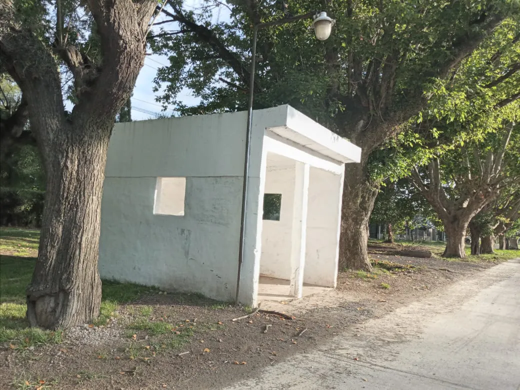 WhatsApp Image 2024-01-18 at 14.54.57