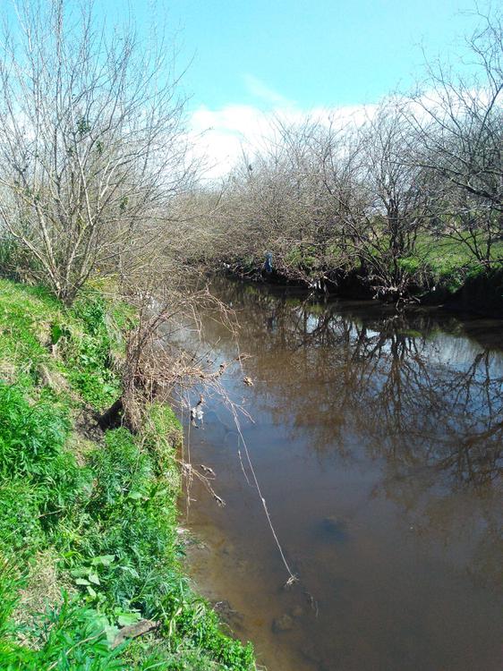 arroyo 1