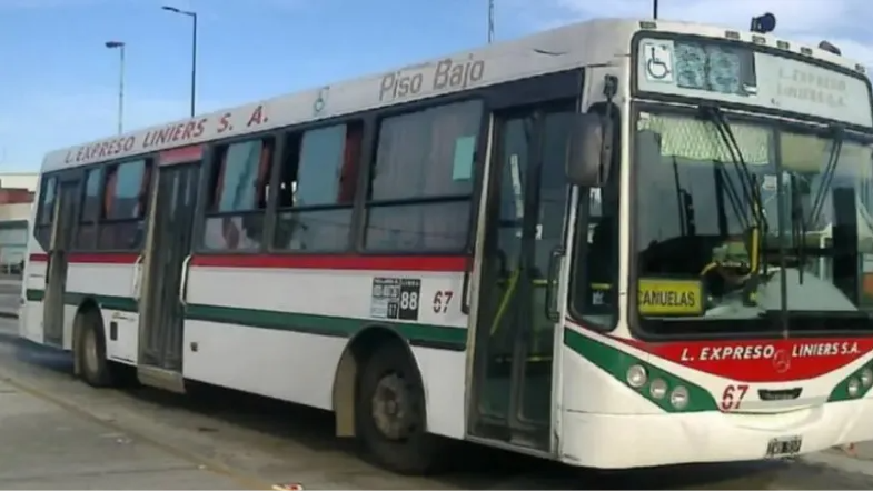 bondi 88