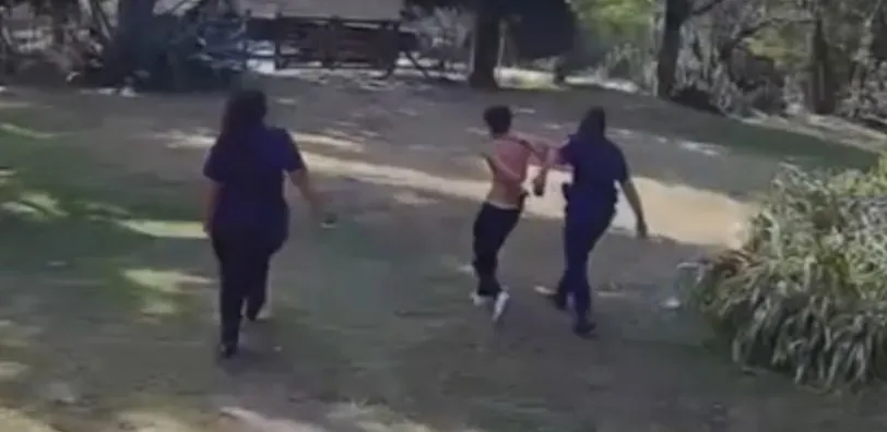 5dc6b055-99de-4e6e-b814-84291874e7e8