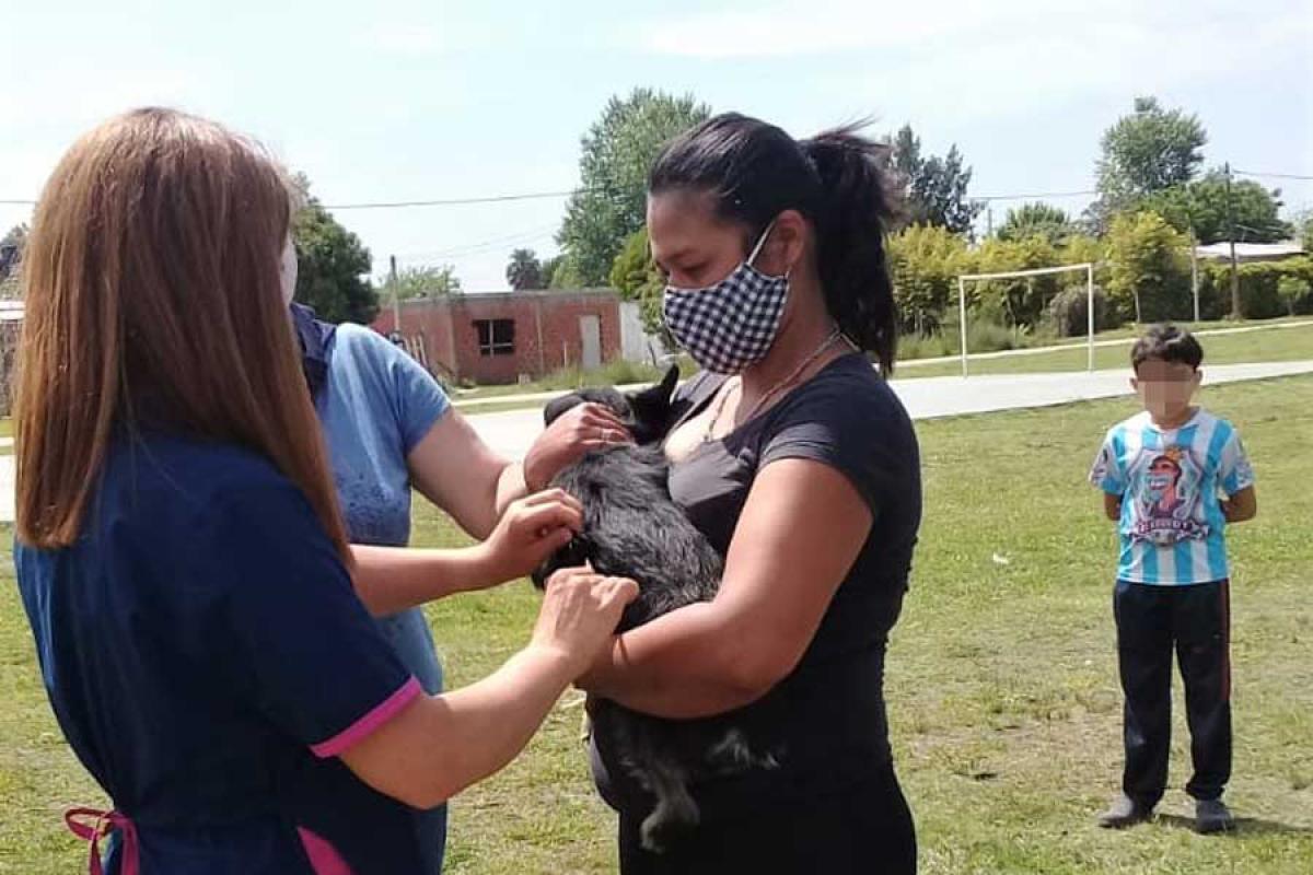 vacunacion