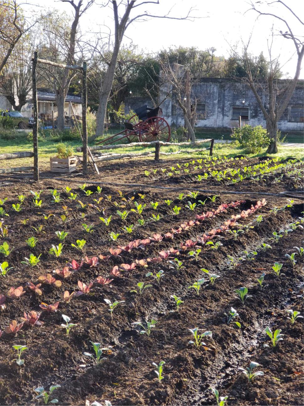 huerta el retoño (2)