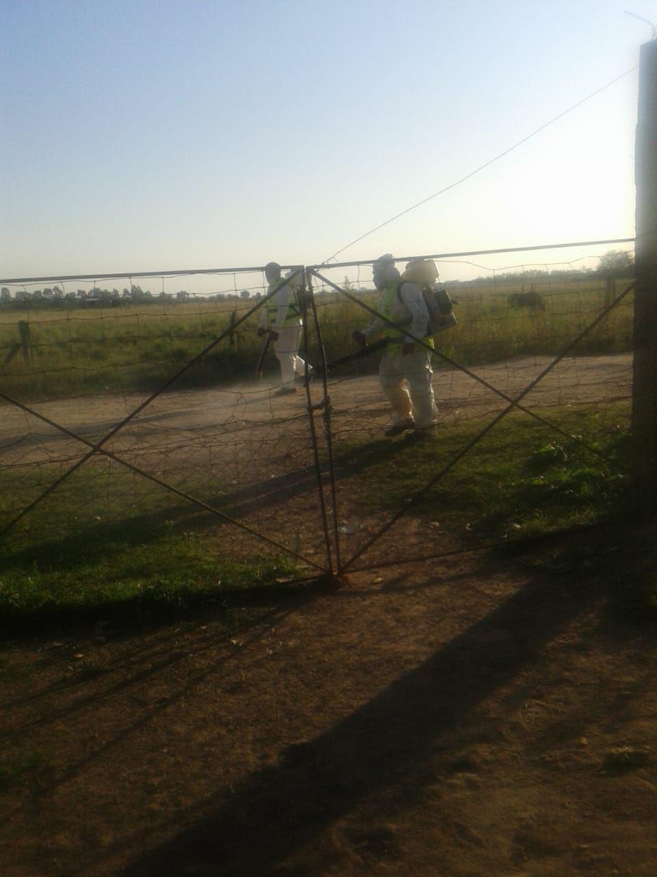 fumigación barrio belgrano