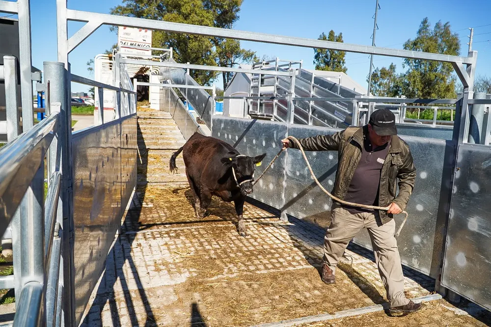 Foto Página 2 abajo