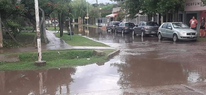 pereda 2