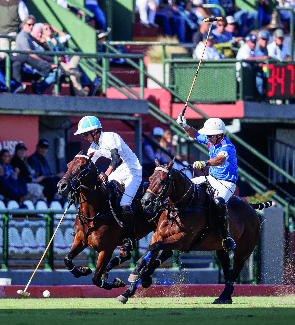 Polo 2 cmyk
