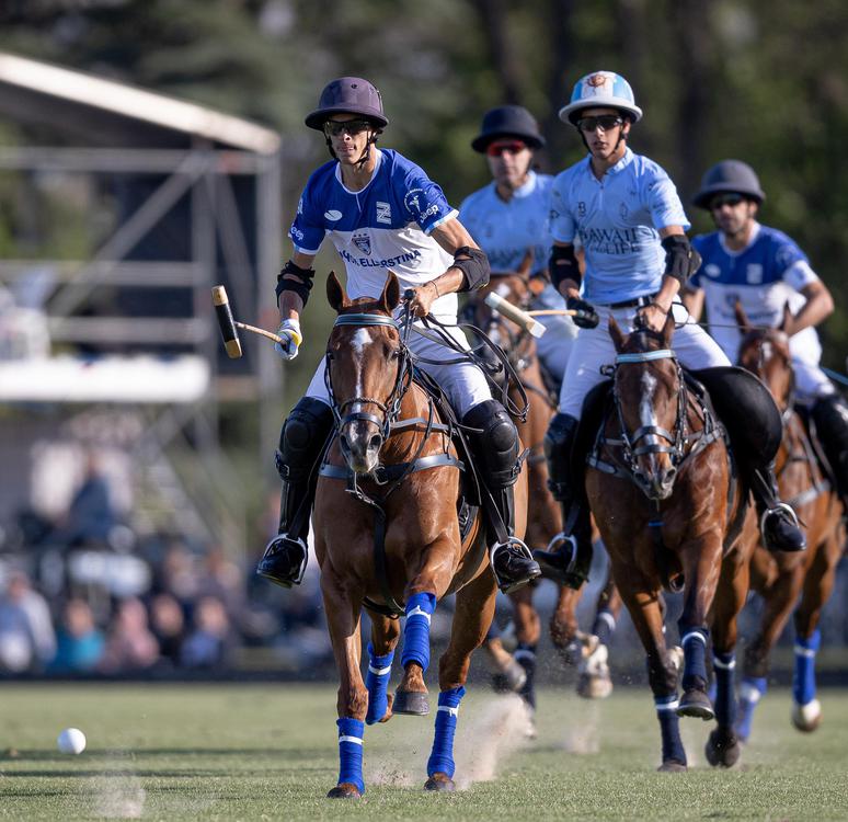 polo hurlingham la dolfina brava ellerstina POROTO CAMBIASO