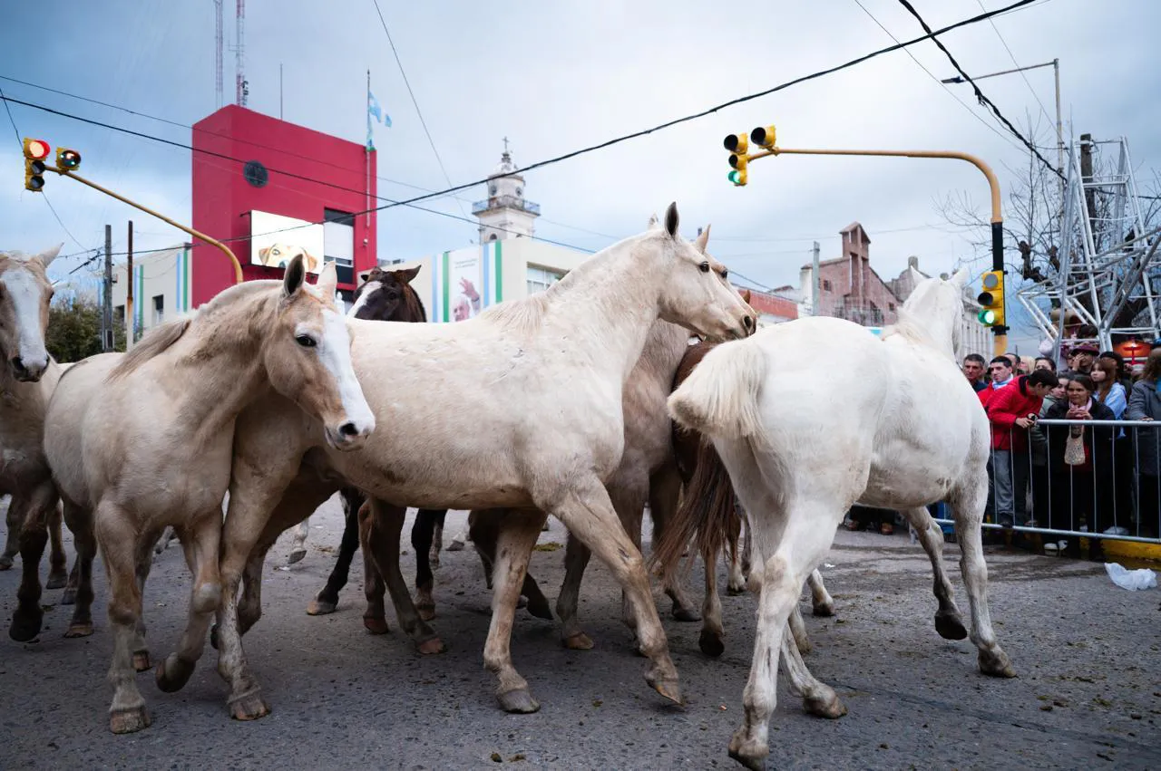 WhatsApp Image 2025-08-20 at 13.13.28