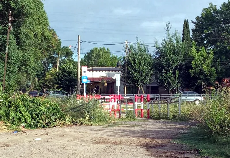 WhatsApp Image 2024-01-18 at 14.54.58