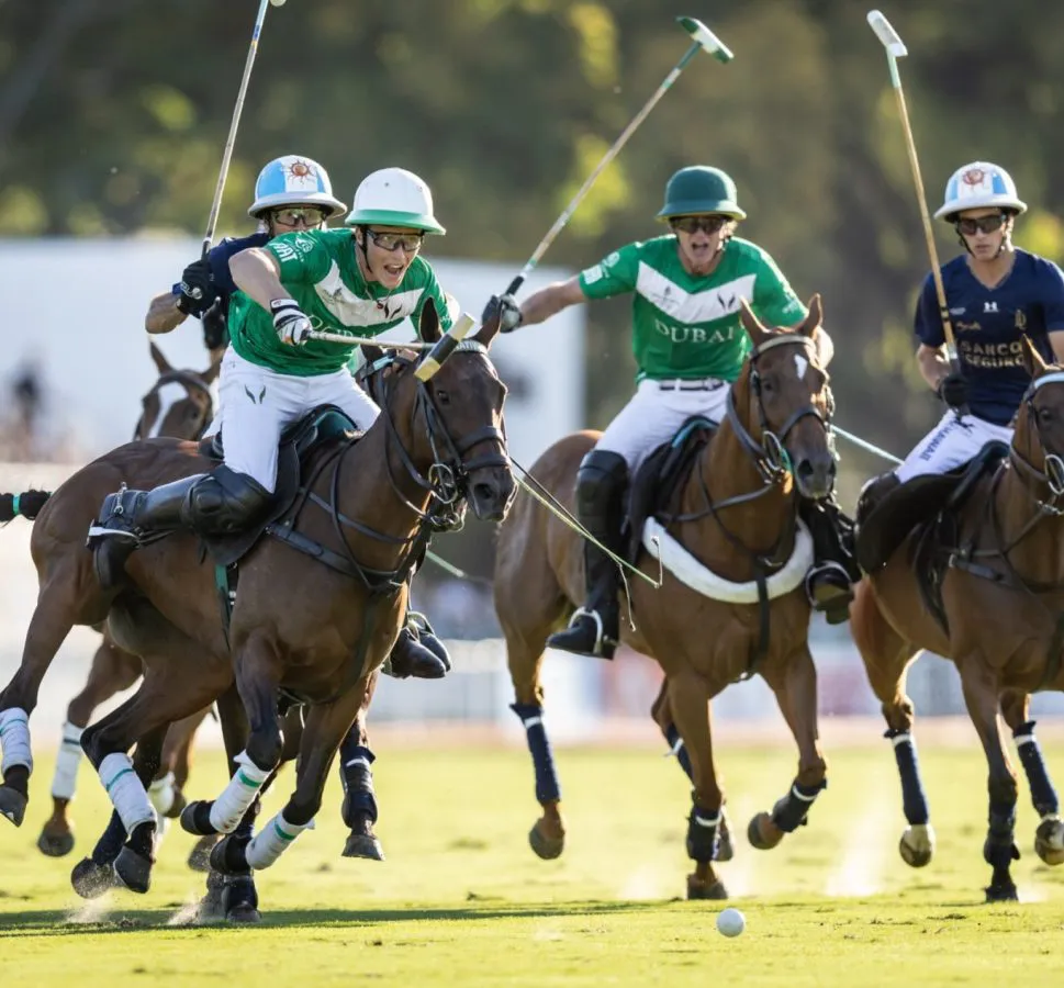 final-palermo-LLAMERA-pz2kmymt4iy13lo9rrlxrw7xlz798gqhalsupqj6ug