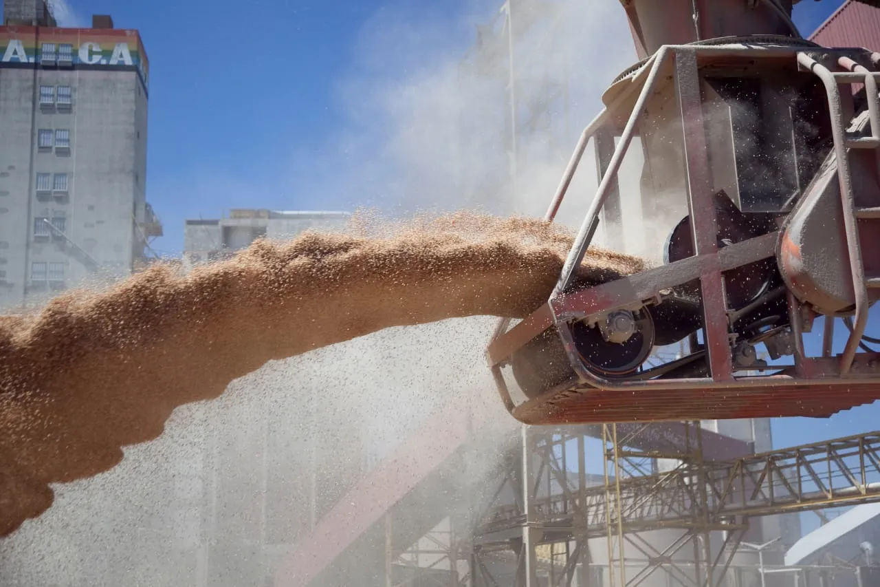 Foto Página 7 abajo