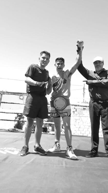 box gallito albera