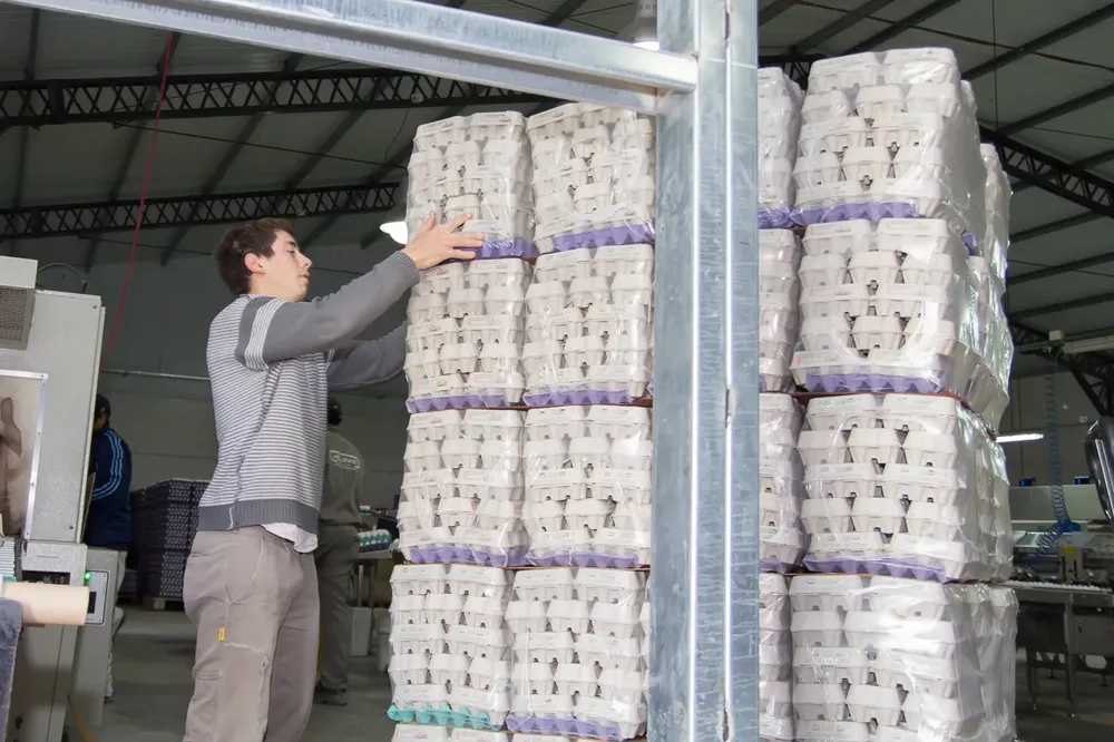 WhatsApp Image 2026-01-15 at 08.20.35