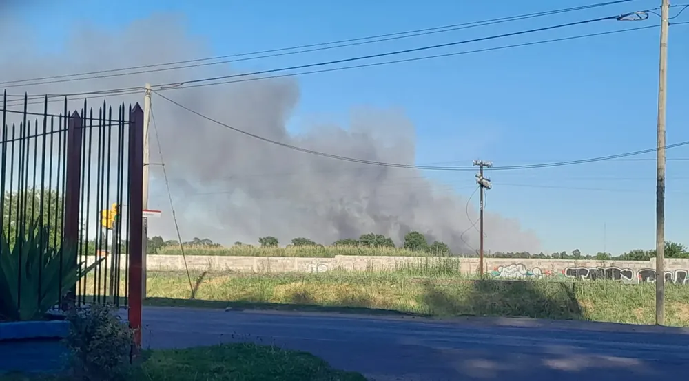 PHOTO-2025-11-15-15-26-11