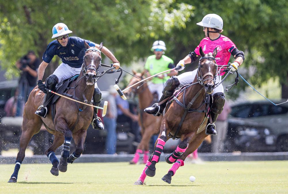 polo HURLINGHAM la dolfina vencio a alegria
