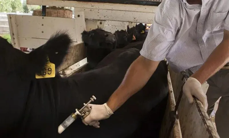 Foto Página 7 en arriba