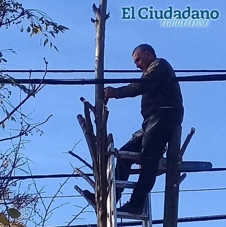 atletismo rincon poda en altura