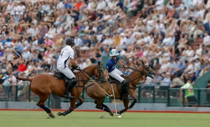 thumbnail_La Dolfina cria