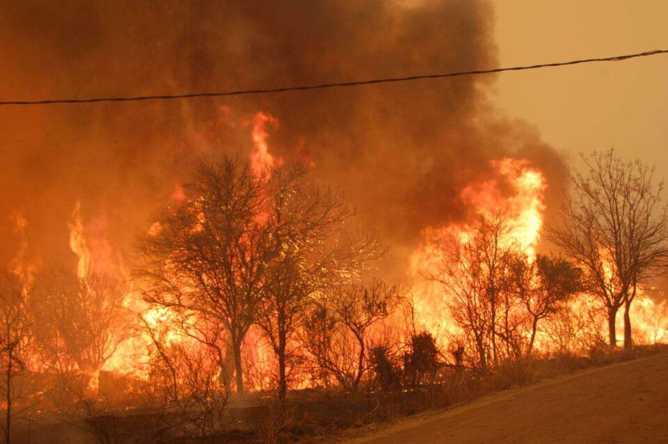 incendios cordoba