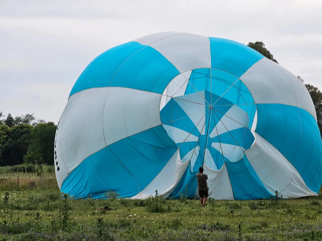 WhatsApp Image 2024-11-19 at 16.04.32 (2)