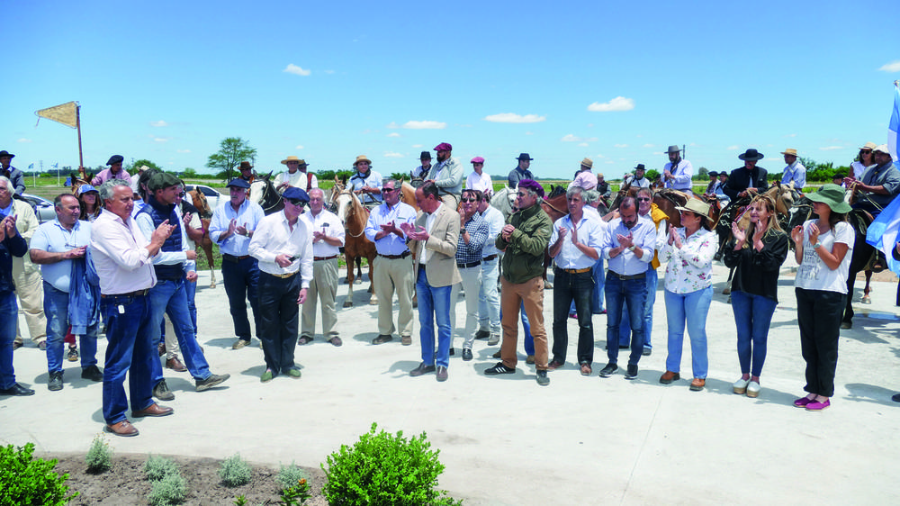 Mercado Agroganadero Todos